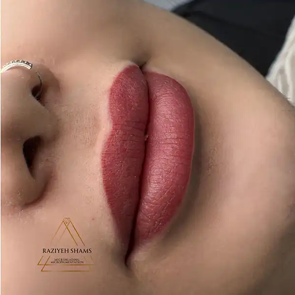 InShot_۲۰۲۵۱۱۱۳_۲۲۰۴۴۷۸۸۳